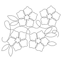 forget me knot e2e 002